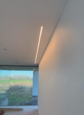 image (7)